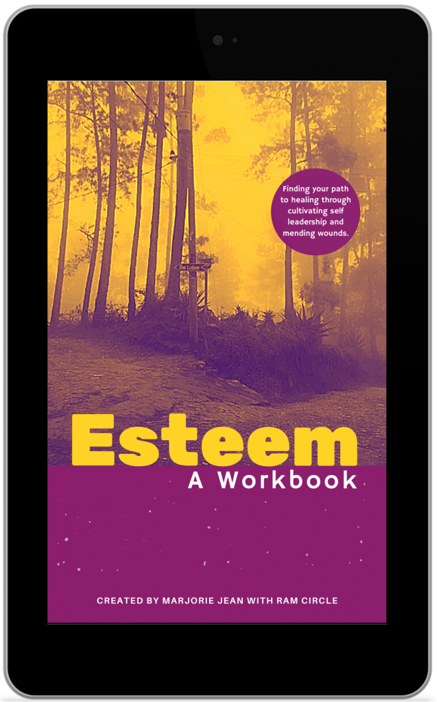 tablet view of ESTEEM workbook