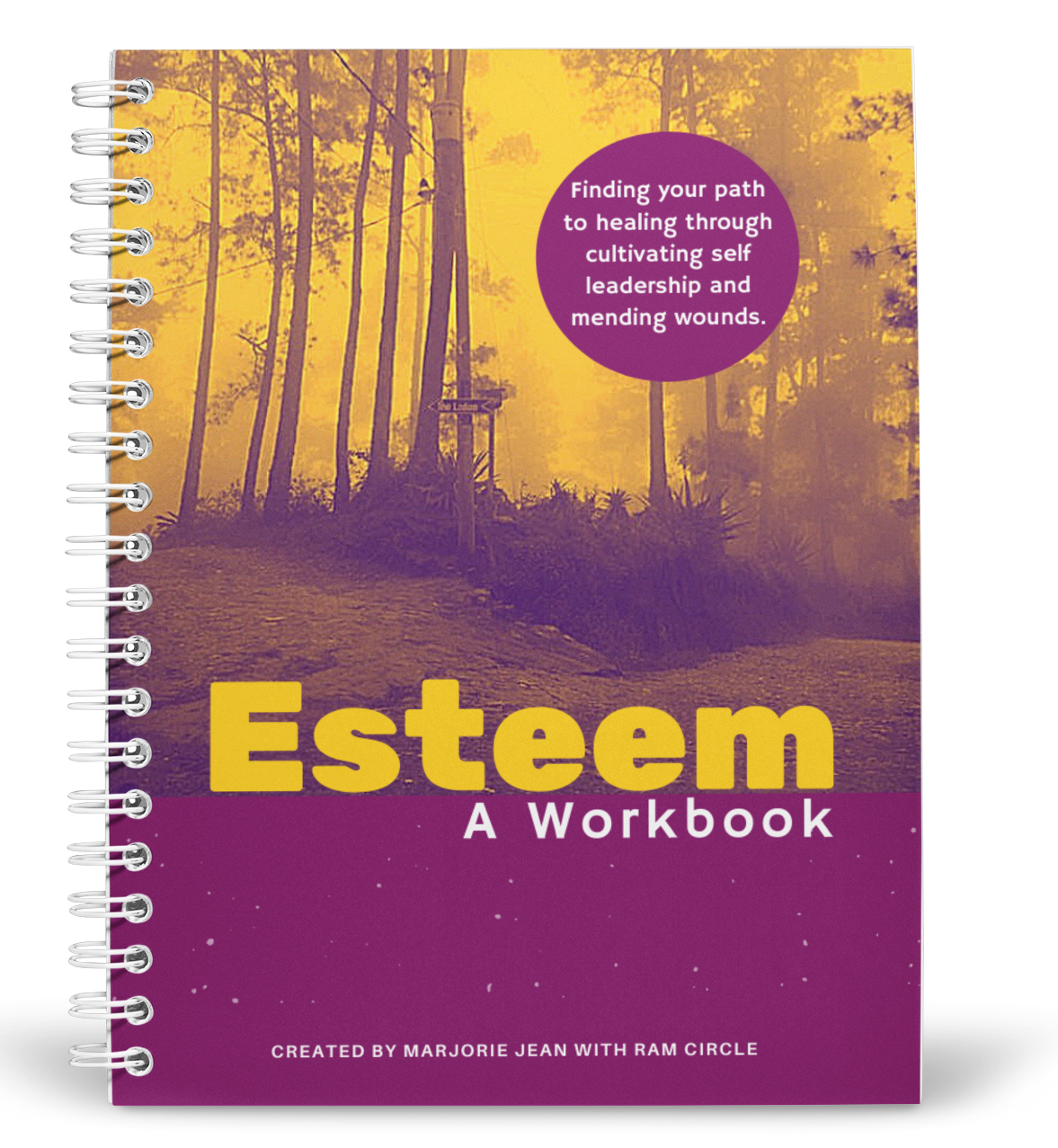 Official ESTEEM | A Workbook Spiral Paperback