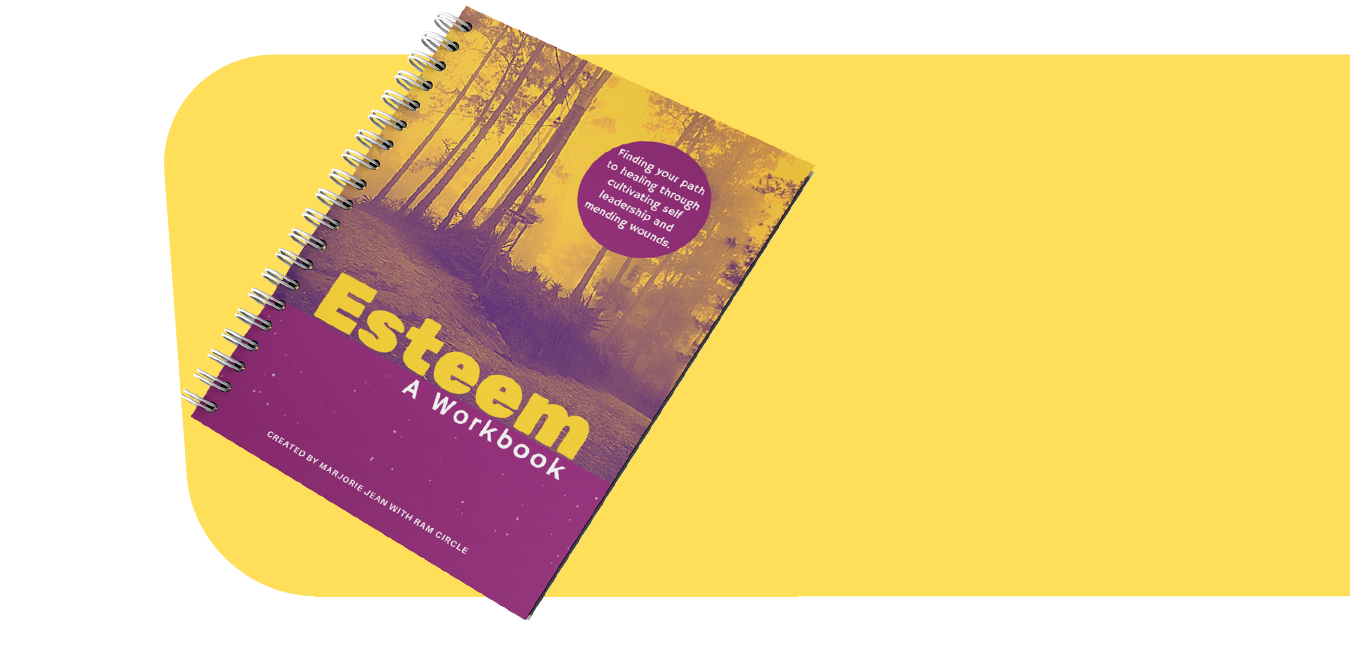 cover of ESTEEM workbook